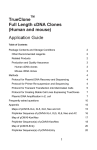 TrueClone Full Length cDNA Clones (Human and mouse