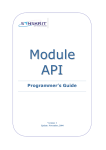 API Manual (AS/400 Programmer`s Guide)
