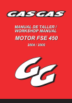 MOTOR FSE 450