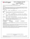 Rat IL-10 Singleplex Bead Kit Technical Data Sheet