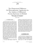 Two-Dimensional Difference Gel Electrophoresis - PPKE-ITK