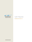 Cyfin Reporter Manual