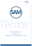 OMTCO - Top 200 SAM Terms A Glossary Of Software