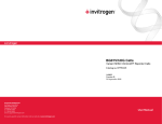 BG01V/hOG Cells - Thermo Fisher Scientific