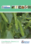 Crop Module: Beans( ) - Red Tractor Assurance