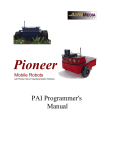 PAI Programmer`s Manual