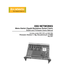 User Manual - DSS Networks