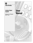 1771-6.5.3, Analog Output System User Manual