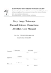 AMBER User Manual