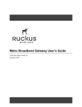Ruckus Metro Broadband Gateway User`s Guide