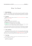 RLisp: User Manual