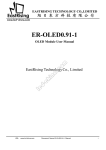 ER-OLED0 .91-1 - Display Future