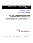 Mouse Cytokine Antibody Array G series 1000