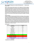 Urine-Based HPV (High and Low Risk) PCR Detection Kit