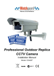 Professional Outdoor Replica CCTV Camera