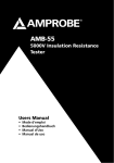 Amprobe AMB-55 5000V Insulation Resistance Tester