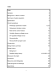 1 Synopsis 2 Background – What is a robot?