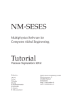 NM-SESES Tutorial - Numerical Modelling GmbH