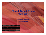 Fluent Tips & Tricks