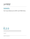 File Format Reference for NPAT and IP/MPLSView