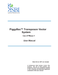 PiggyBac Transposon Vector System User Manual