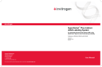 SuperScript Plus Indirect cDNA Labeling System