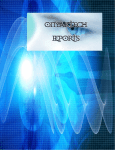 OnyakTech Reports User Manual
