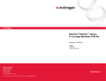 StemPro EZChek Human Tri-Lineage Multiplex PCR Kit