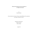 Physical characterization of the frozen fragments of the Tagish Lake