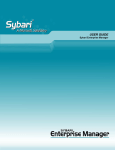 The Sybari Enterprise Manager - Center