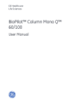 BioPilot™ Column Mono Q™ 60/100