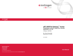 Concert 96 Protein Screen - Thermo Fisher Scientific