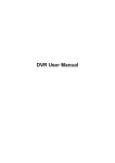 DVR User Manual