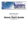 Micro-Tsunami Quick Start Guide