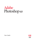 Adobe Photoshop 6.0 User Guide