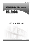DVR user manual - Domain host real