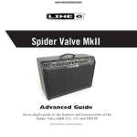 Spider Valve Advanced Guide