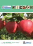 Crop Module: Fruit (top)