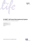 E-PAGE™ 48 Protein Electrophoresis System