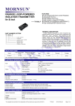 PASSIVE LOOP-POWERED ISOLATION TRANSMITTER Iin & Iout