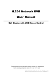 H.264 Network DVR User Manual