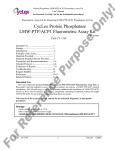 CY-1358 Protein Phosphatase LMW-PTP/ACP1 Fluorometric Assay Kit