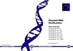 Plasmid DNA Purification