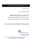 RayBio Rat Cytokine Antibody Array