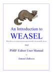 WEASEL and PMIF Editor User Manual in English