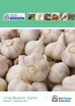 Crop Module: Garlic - Red Tractor Assurance