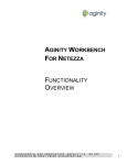 AGINITY WORKBENCH FOR NETEZZA FUNCTIONALITY OVERVIEW