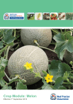 Crop Module: Melon - Red Tractor Assurance