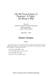 CSE 1402 Prac Handout Template