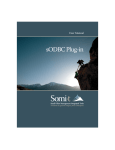 sODBC plug-in Manual - Somi-t